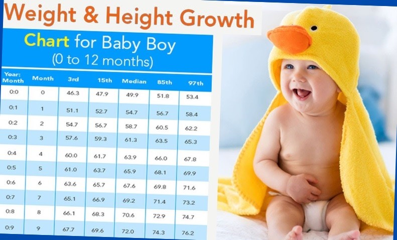1 year baby weight chart india
