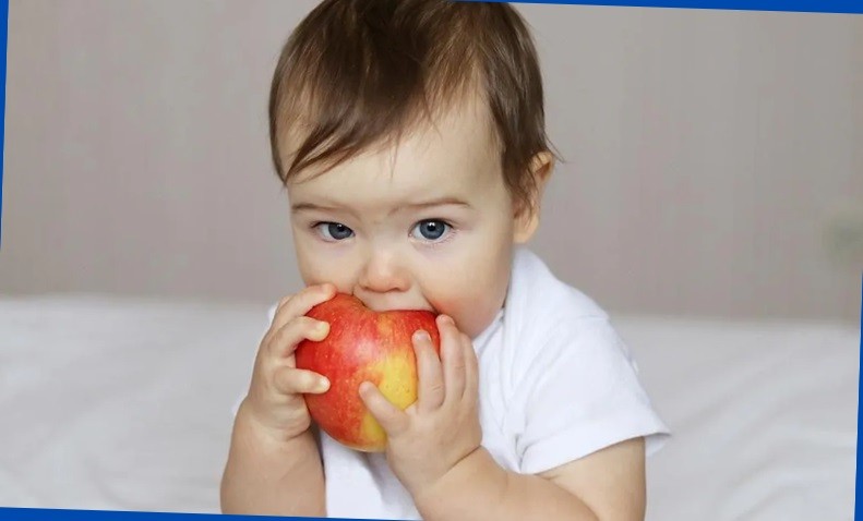 10 month baby food chat india