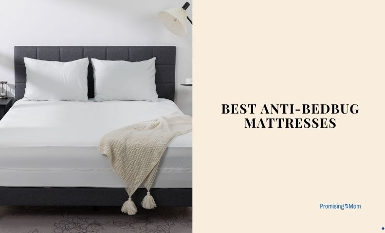 best anti-bedbug mattresses