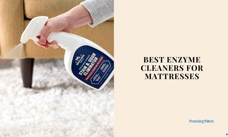 best enzyme cleaners for mattresses