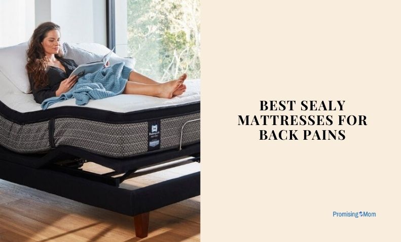 best sealy mattresses for back pains