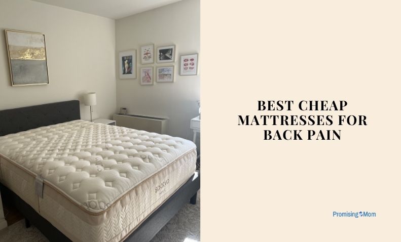 best cheap mattresses for back pain