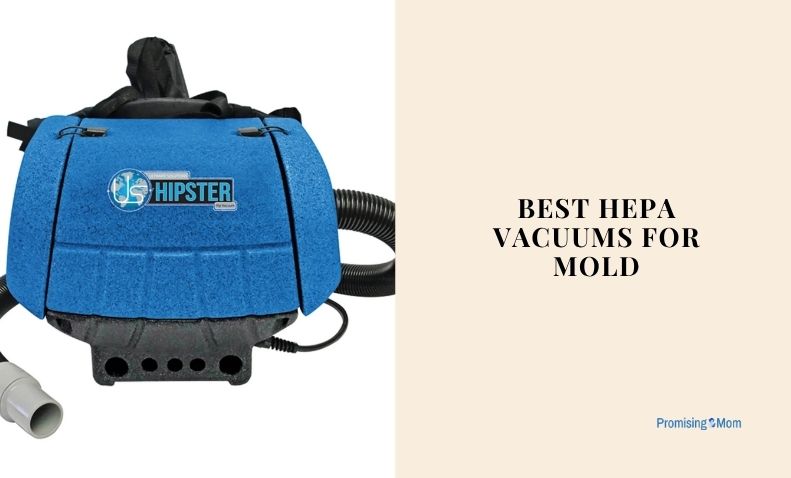 best hepa vacuums for mold