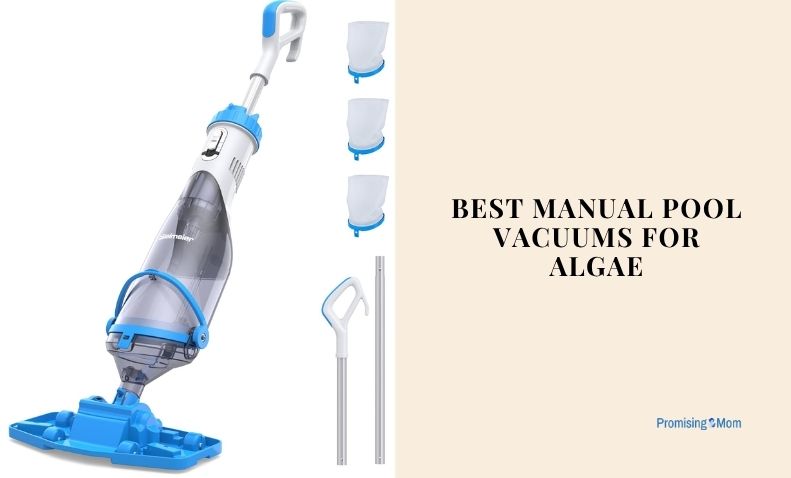 best manual pool vacuums for algae