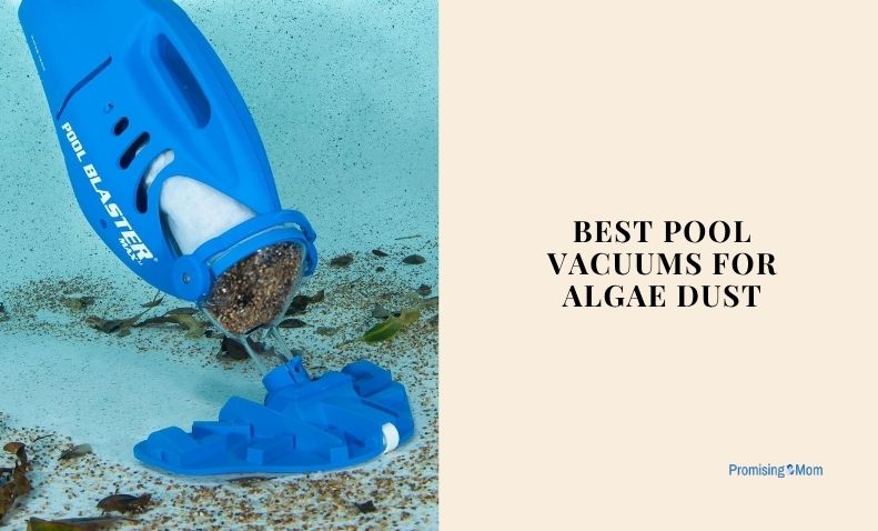 best pool vacuums for algae dust
