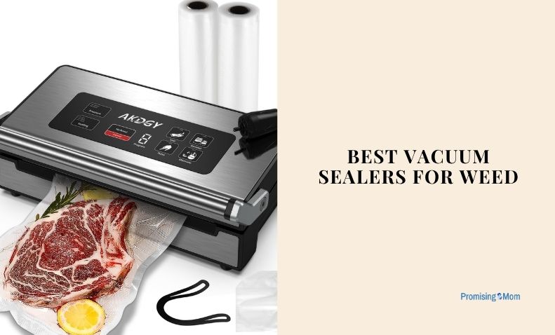 best vacuum sealers for weed