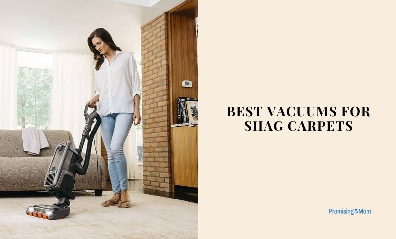 best vacuums for shag carpets