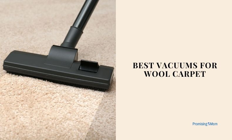 best vacuums for wool carpet
